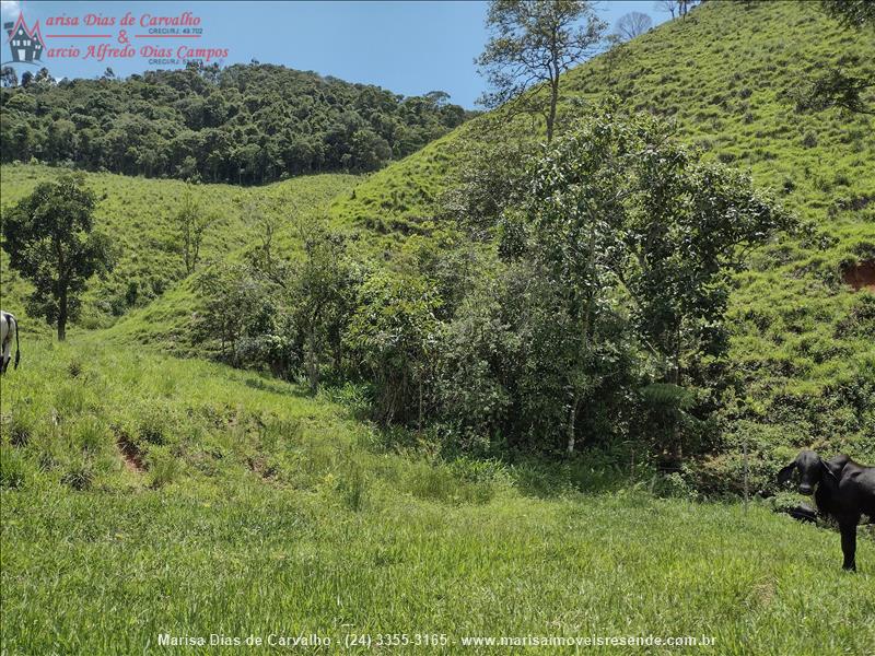 Sítio a Venda no Outros em Bocaina de Minas